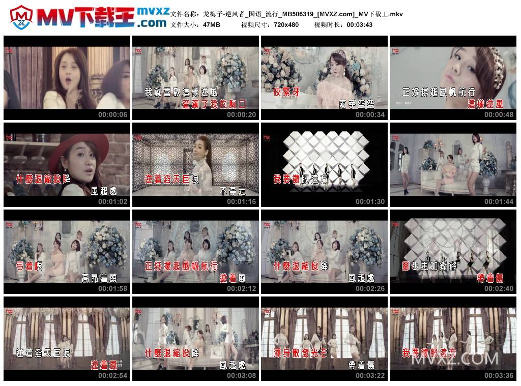 龙梅子-逆风者_国语_流行_MB506319